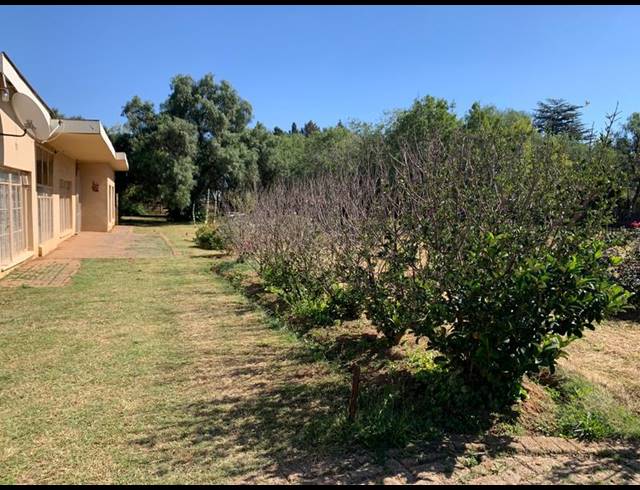 FARM FOR SALE IN NORTHDENE